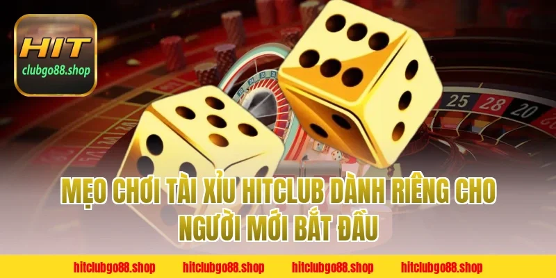 Mẹo Chơi Tài Xỉu Hitclub Dành Riêng Cho Người Mới Bắt Đầu